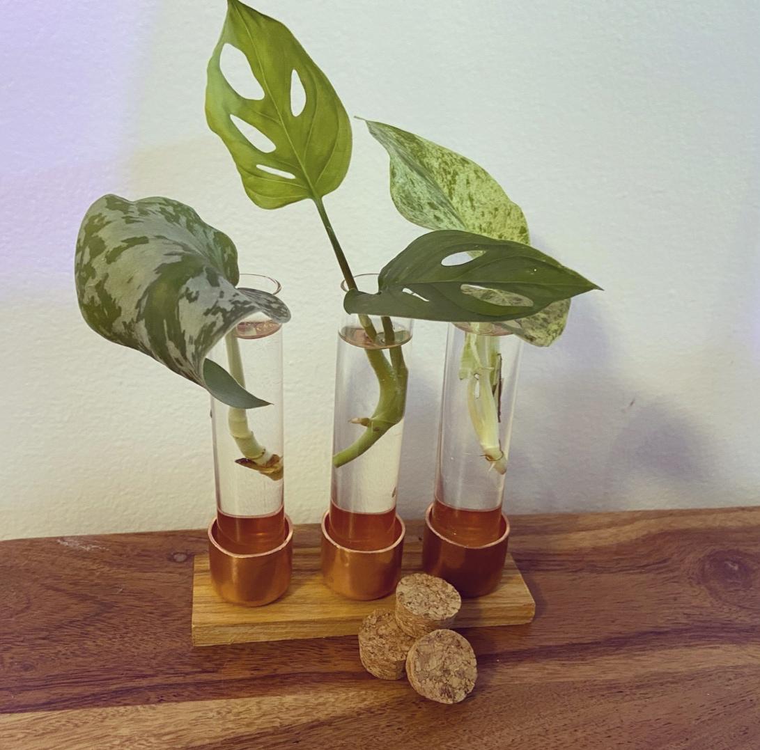 Exotic Hardwood and Copper Propagation Station